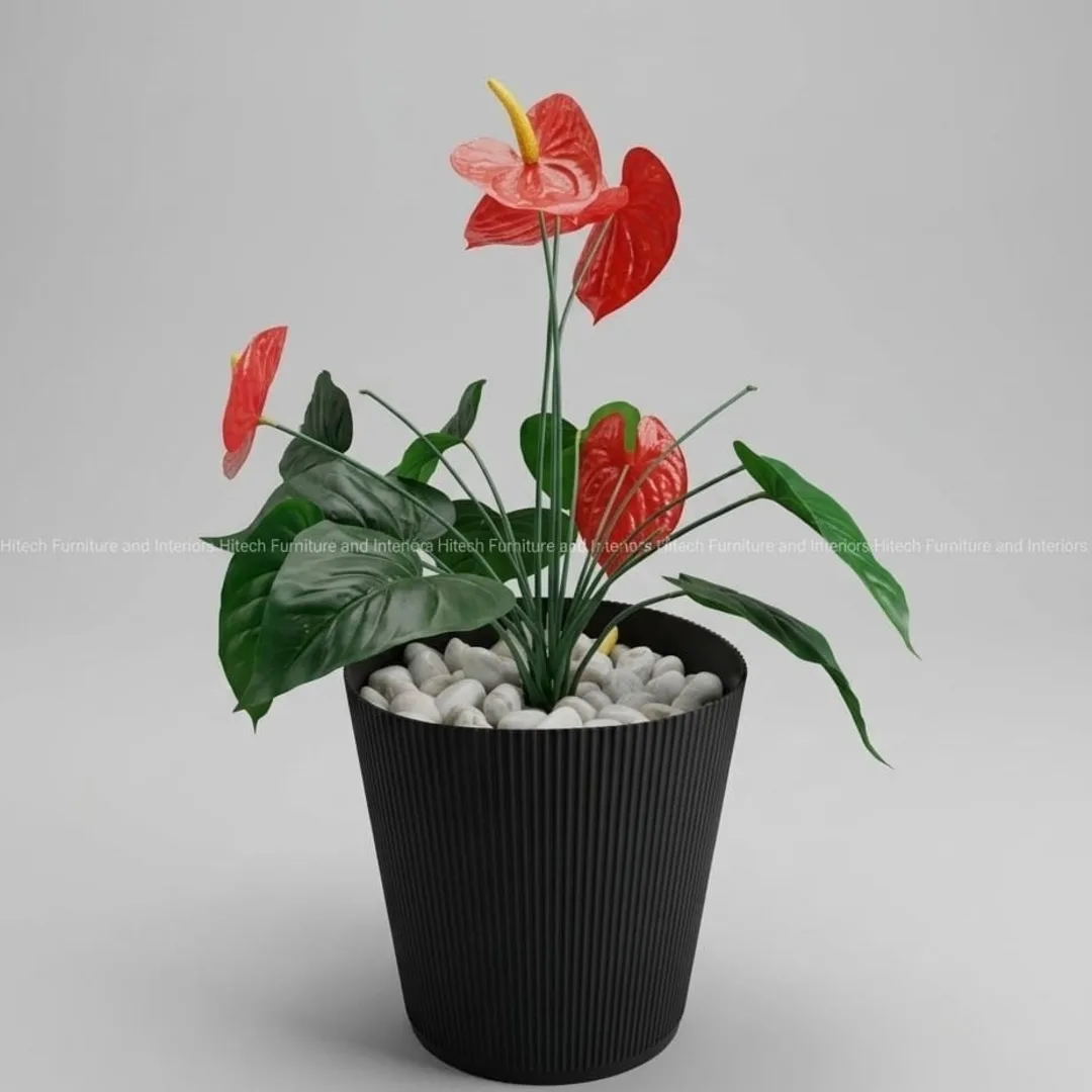 Plant