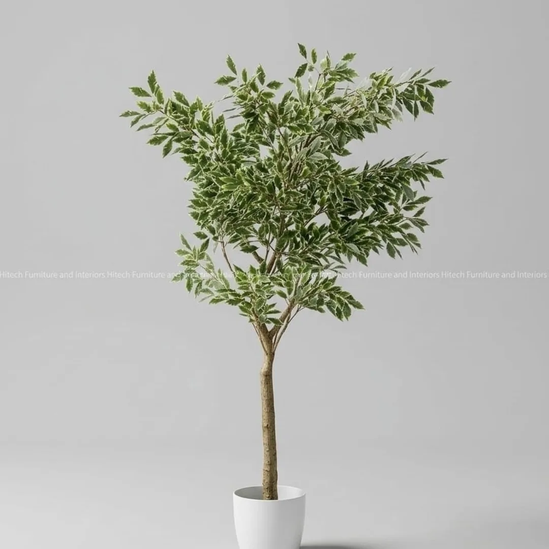 Plant