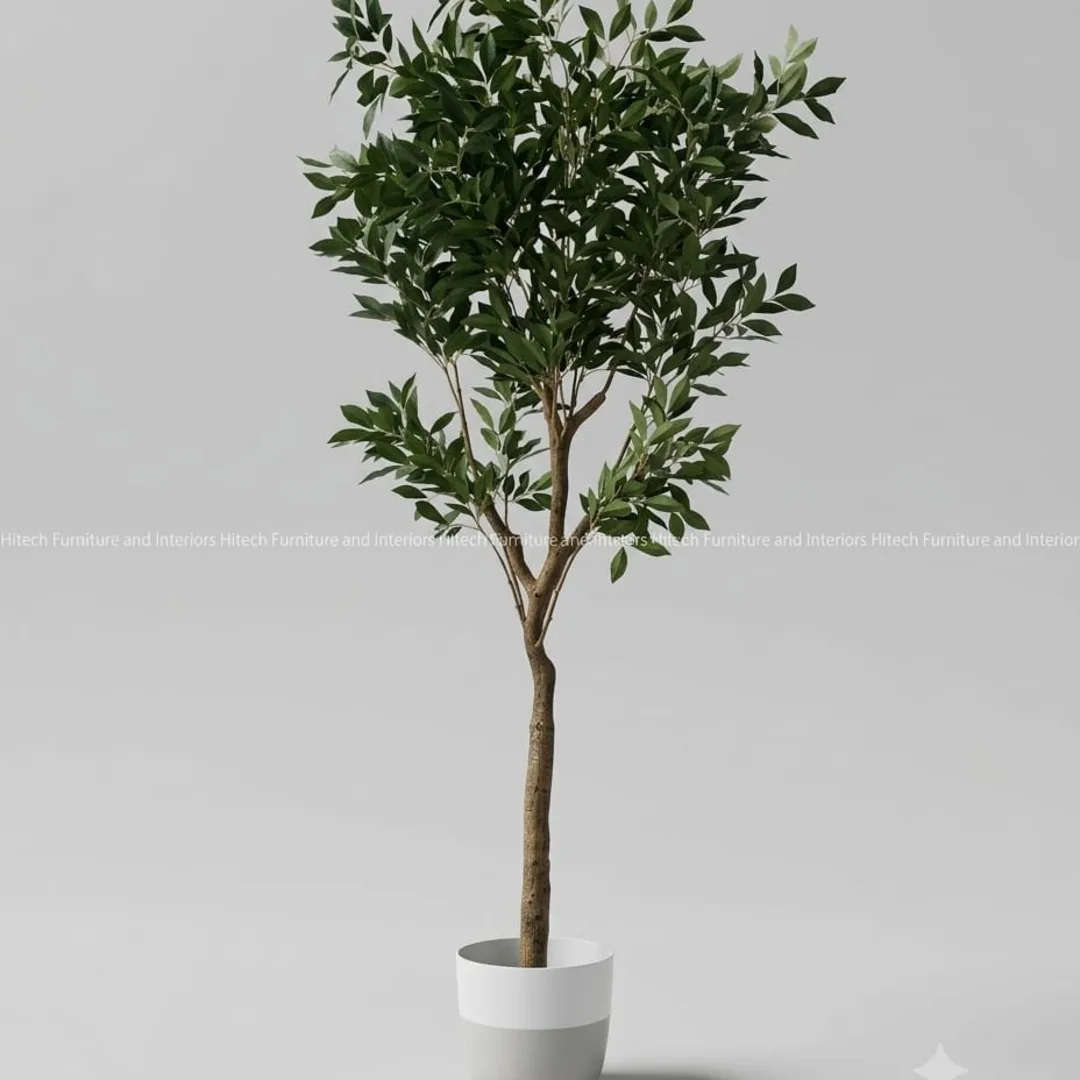 Plant